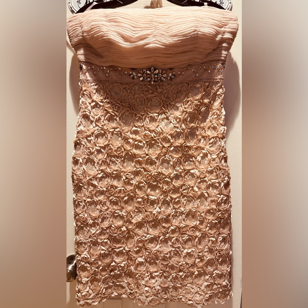 Sue Wong Blush Strapless Dress with Floral Embellishments